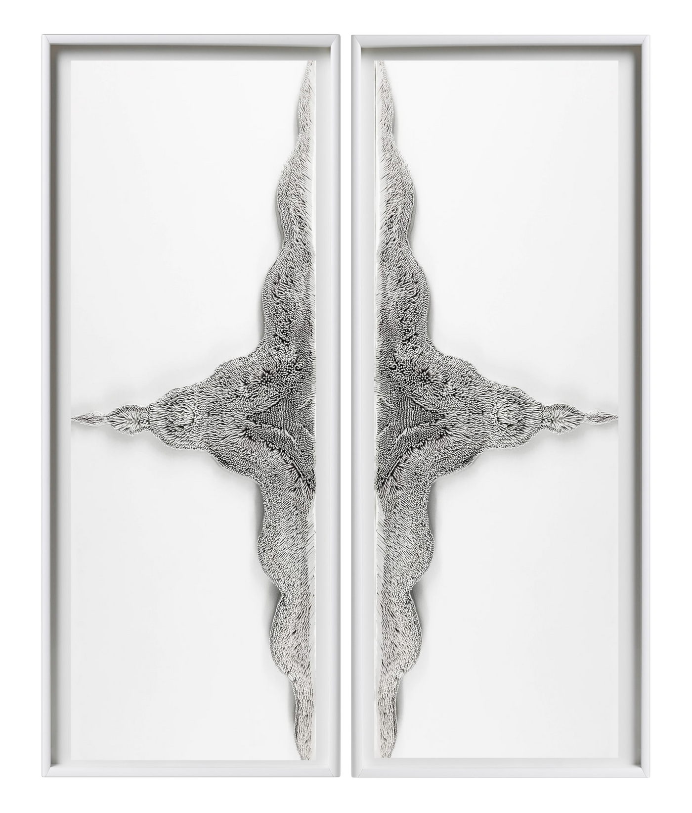 Equilibrium