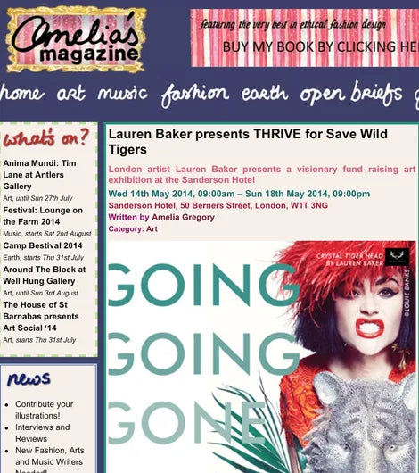 Amelias Magazine