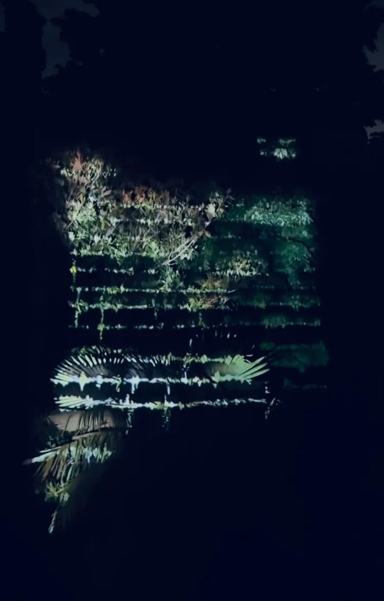 Letter To Earth In Venice