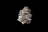 24 Million Years Ago (1)