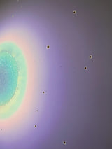 Astral Nebula, Unique