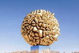 Frequency Of The Sun, 4M - Desert Installation