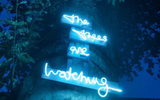 The Trees Are Watching Installation