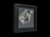 Remnants Of Lost Stars