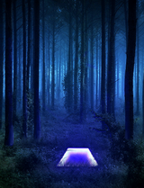 The Infinity Trapdoor