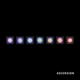 Ascension - Chakra Canvas - Full Collection of 7