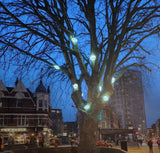 The Trees Are Watching, London