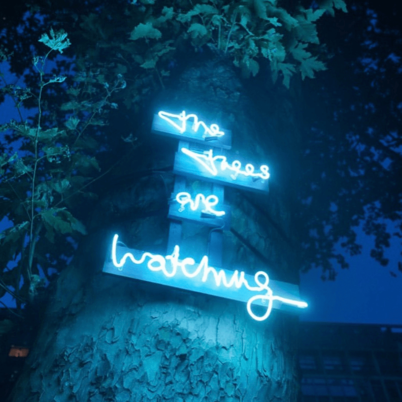 The Trees Are Watching Installation