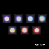 Ascension - Chakra Canvas - Full Collection of 7