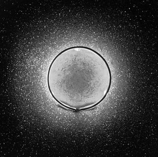 White Moon