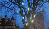 The Trees Are Watching, London