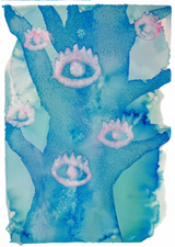 Studies of Consciousness 6